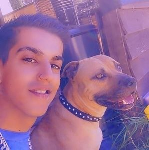 Meet your Posher, Aboh